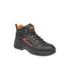 FORTIS O2 High - 2